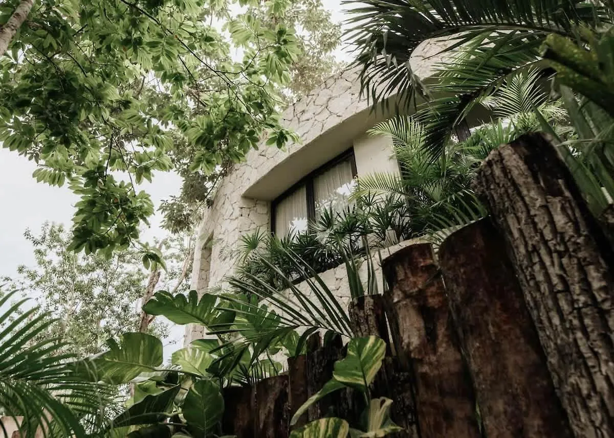 Stunning Design Villas - Two Pools - Bbq 5A 5B Tulum 0*,